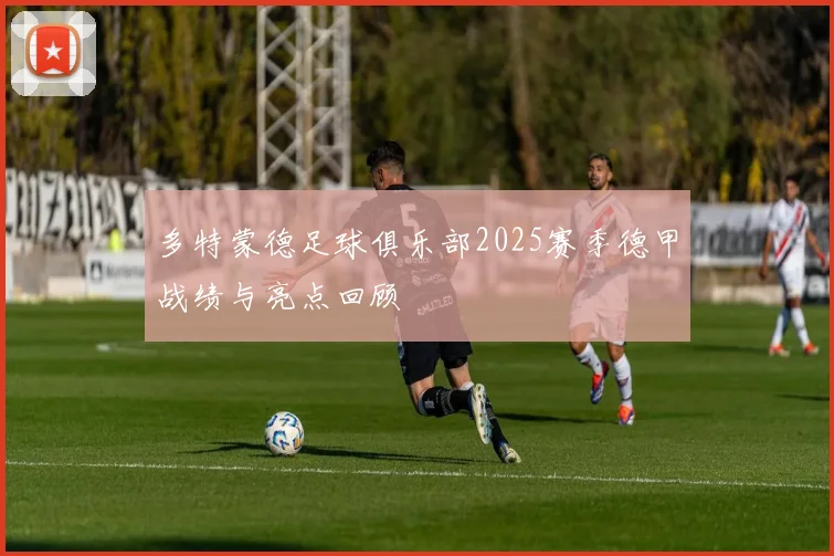 多特蒙德足球俱乐部2025赛季德甲战绩与亮点回顾